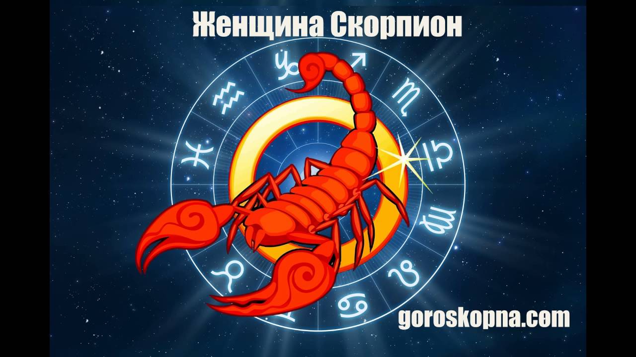 Гороскоп Тигр Скорпион Женщина