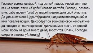 Заговоры от насекомых