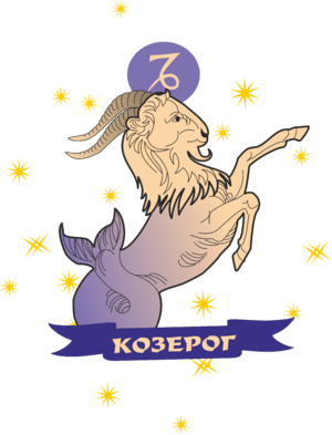  Козерог (22 декабря - 20 января)