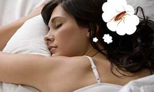 К чему снятся тараканы во сне