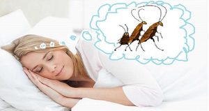 Техника толкования сновидений - тараканы