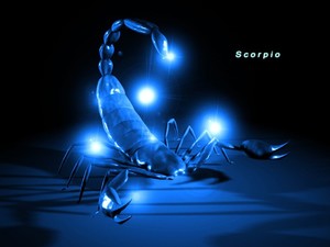 Звезды скорпионы