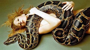 Толкование снов про змей