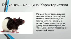  Характер Чёрной Водяной Крысы