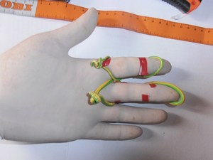 Значение пальца на руке