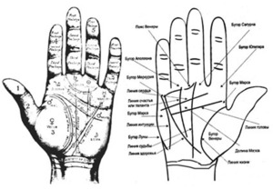 Значение по кончикам пальцев