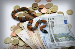 Змея ползущая по деньгам.