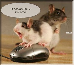 Как провести заговор против мышей