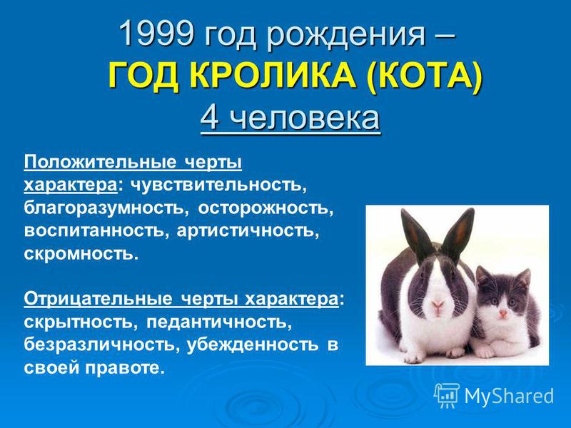 Год кролика человек. Год кота и кролика. Год кролика характеристика. 1999 Год кота. Год кролика 1999.