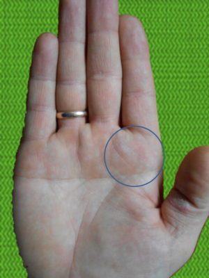 Длина и форма пальца
