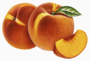 К чему видеть во сне персики