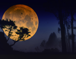Особенности и значения снов про луну