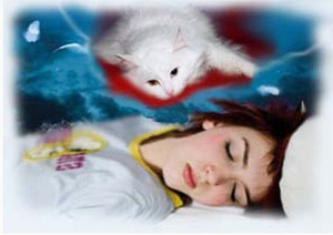 К чему снится кошка во сне женщине 
