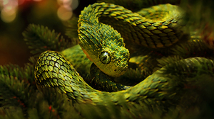 К чему снится большая зелёная змея