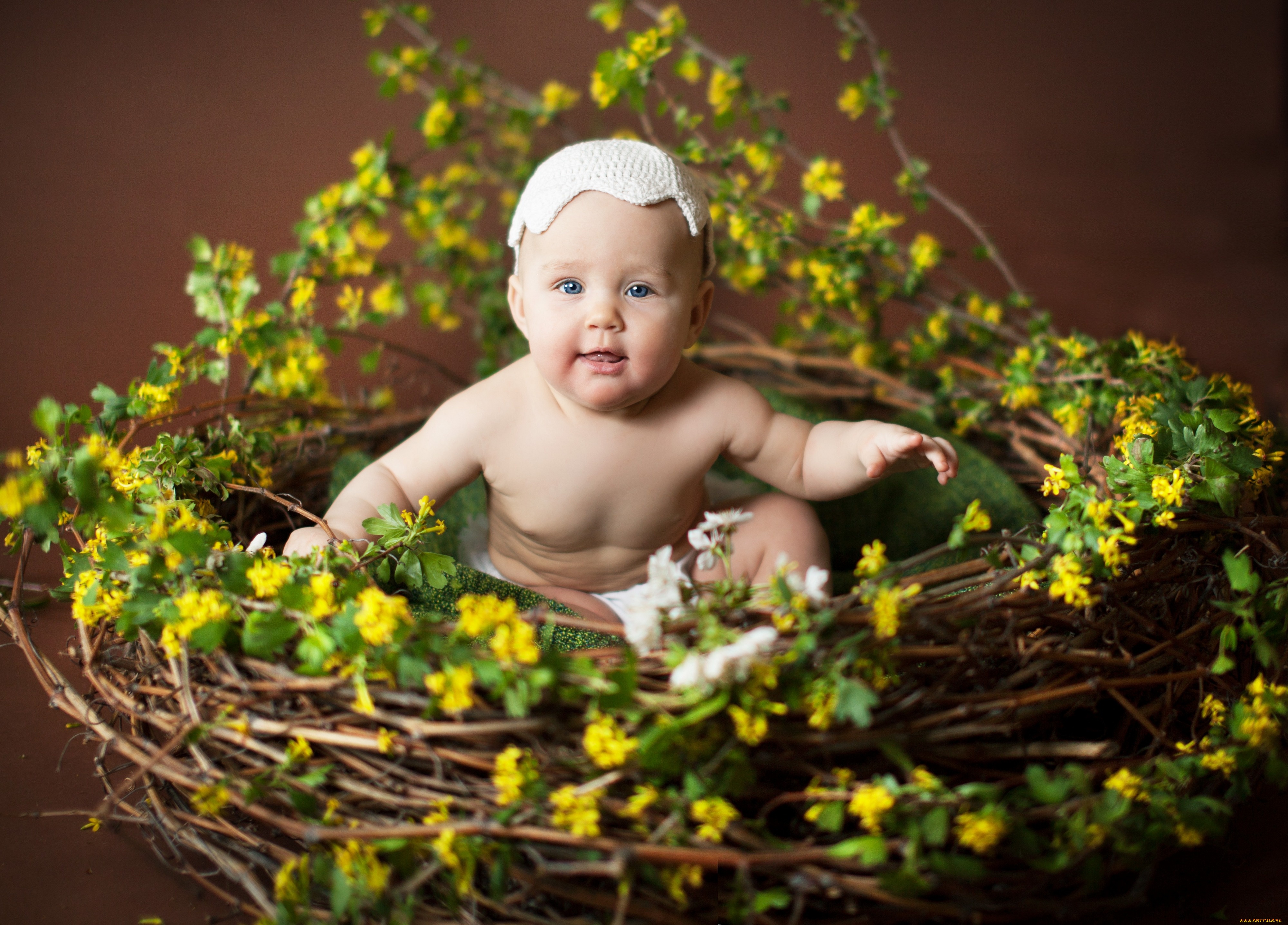 Sweet child. Фотосессия малышей весной. Фотосессия малышей с цветами. Весенние фотосессии с младенцами. Фотопроекты для малышей до года.