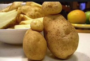 Сонник: к чему снится картошка