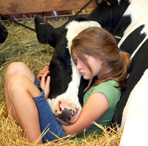 Как узнать значение сна про молоко