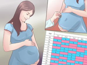 Как выбрать время для зачатия